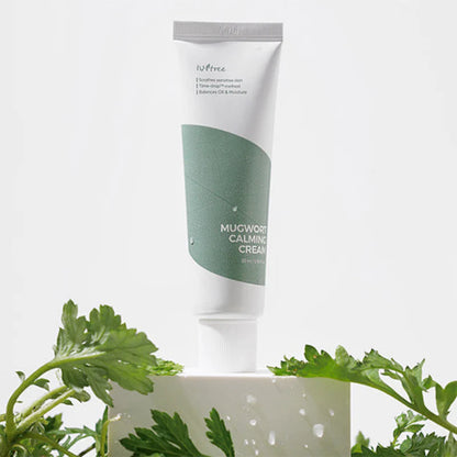 Isntree Mugwort Calming Cream raminamasis veido kremas